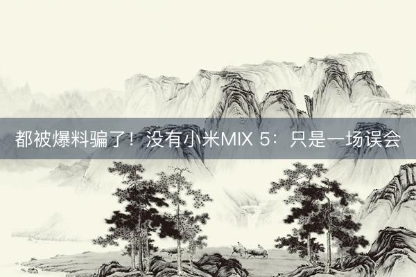 都被爆料骗了！没有小米MIX 5：只是一场误会
