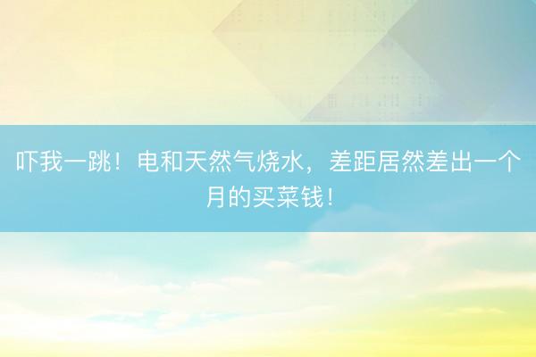 吓我一跳！电和天然气烧水，差距居然差出一个月的买菜钱！