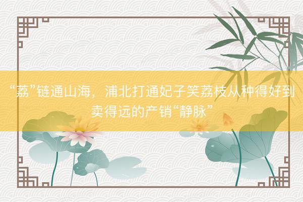 “荔”链通山海，浦北打通妃子笑荔枝从种得好到卖得远的产销“静脉”