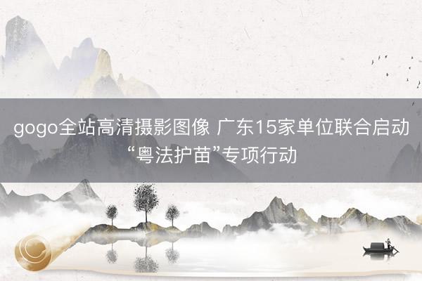 gogo全站高清摄影图像 广东15家单位联合启动“粤法护苗”专项行动