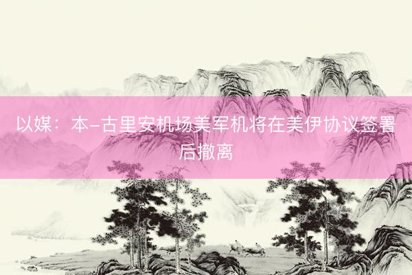 以媒：本-古里安机场美军机将在美伊协议签署后撤离