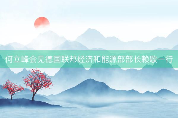 何立峰会见德国联邦经济和能源部部长赖歇一行