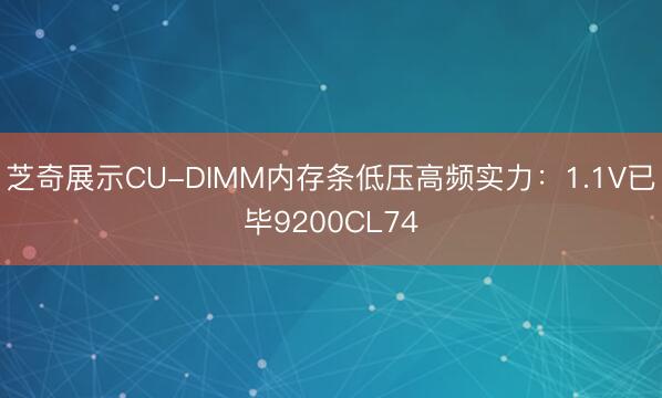 芝奇展示CU-DIMM内存条低压高频实力:1.1V已毕9200CL74