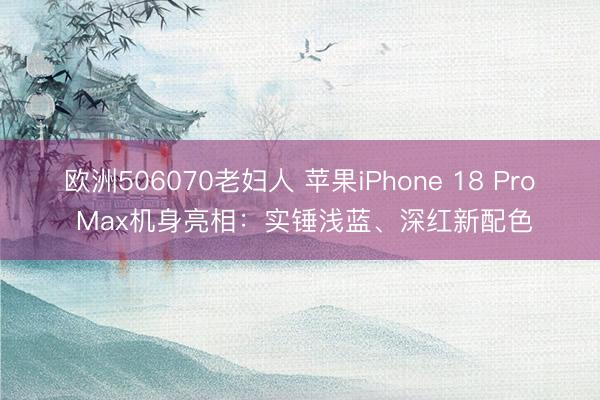 欧洲506070老妇人 苹果iPhone 18 Pro Max机身亮相：实锤浅蓝、深红新配色