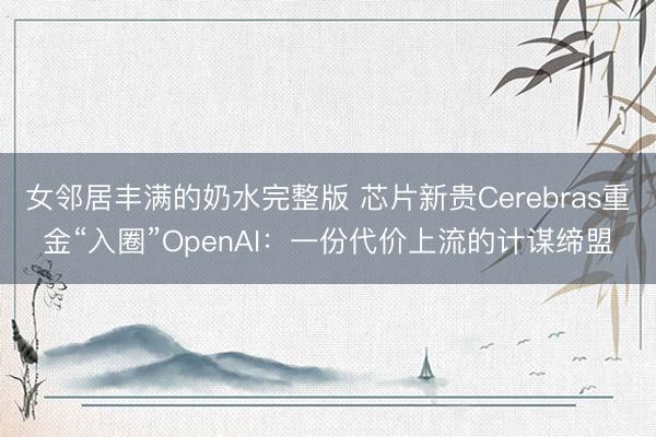 女邻居丰满的奶水完整版 芯片新贵Cerebras重金“入圈”OpenAI：一份代价上流的计谋缔盟