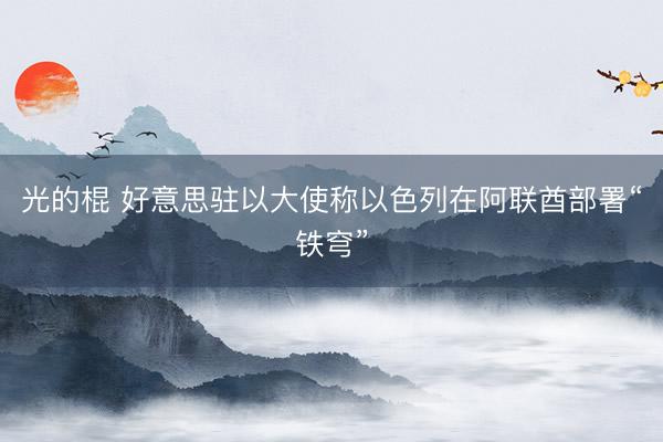 光的棍 好意思驻以大使称以色列在阿联酋部署“铁穹”