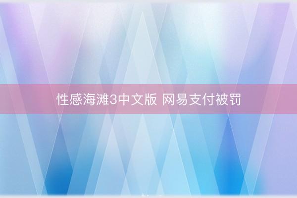 性感海滩3中文版 网易支付被罚