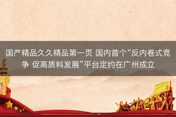 国产精品久久精品第一页 国内首个“反内卷式竞争 促高质料发展”平台定约在广州成立