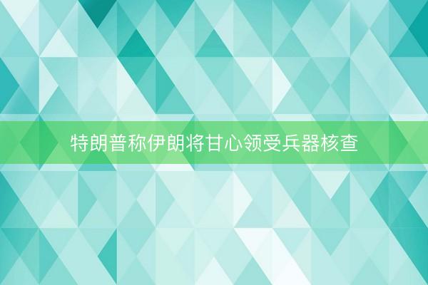 特朗普称伊朗将甘心领受兵器核查
